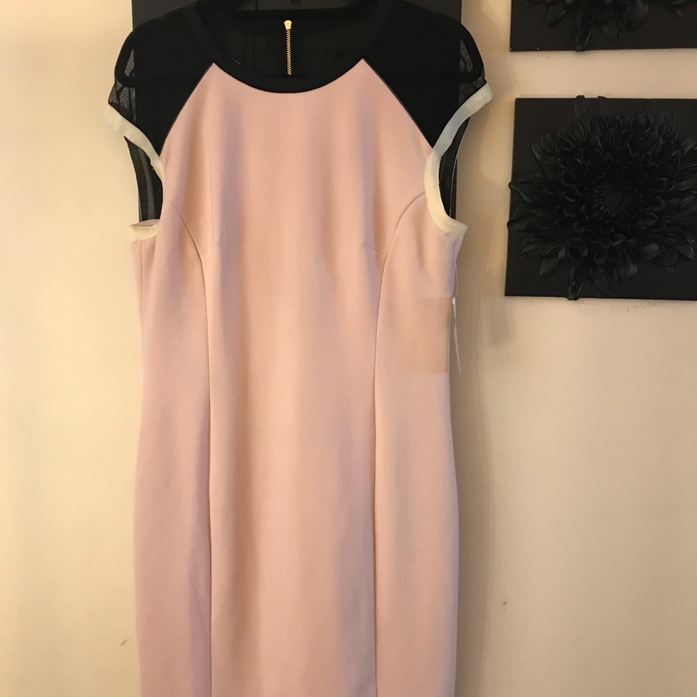 ❤️ Host Pick! Blush & black sheath dress with mesh
